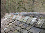 SX13449 Curved roof at Castle Coch.jpg